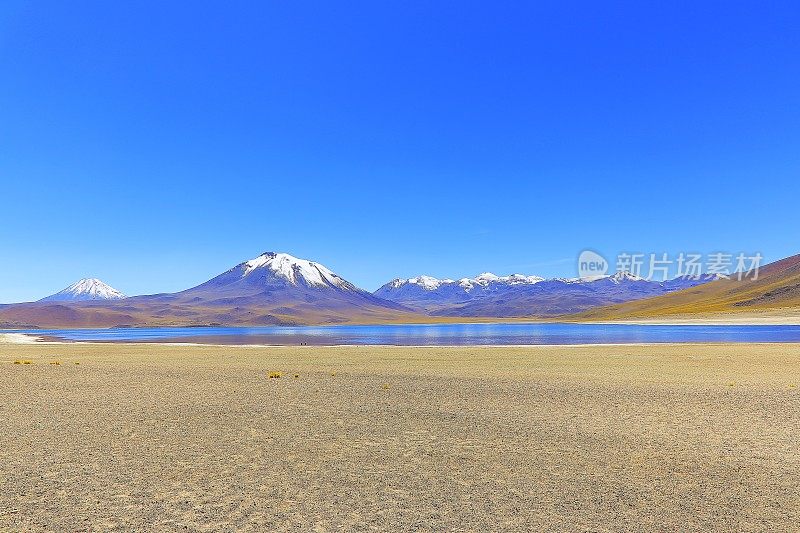 Lagunas Miñiques和Miscanti -湖泊和雪顶火山山-绿松石湖和田园般的阿塔卡马沙漠，火山景观全景-圣佩德罗阿塔卡马，智利，Bolívia和阿根廷边境